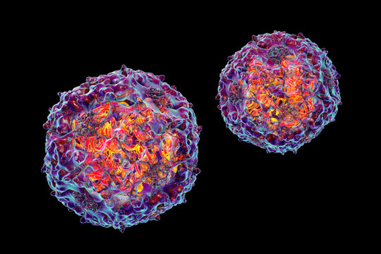 Parvoviruses, 3D illustration showing small non-enveloped icosahedral DNA viruses, including pathogens such as parvovirus B19 and canine parvovirus.
