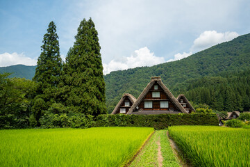 世界遺産　白川郷合掌造り集落　かん町三つ子合掌　夏 © Hiro074