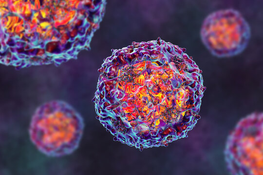 Parvoviruses, 3D illustration showing small non-enveloped icosahedral DNA viruses, including pathogens such as parvovirus B19 and canine parvovirus.