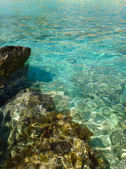 Fototapeta premium High-angle view of transparent clear turquoise ocean water with rocky seabed covered in moss and seaweed. Perfect for summer vacation, travel, and nature backgrounds