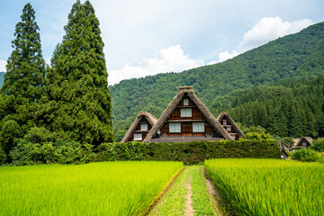 世界遺産　白川郷合掌造り集落　かん町三つ子合掌　夏 © Hiro074