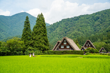 世界遺産　白川郷合掌造り集落　かん町三つ子合掌　夏 © Hiro074