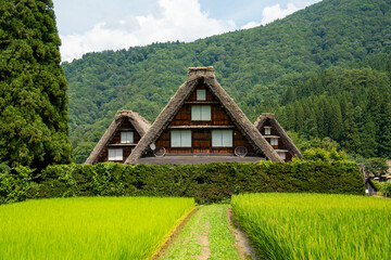 世界遺産　白川郷合掌造り集落　かん町三つ子合掌　夏 © Hiro074