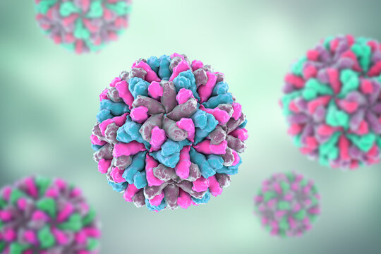Sapovirus particle, 3D illustration showing non-enveloped icosahedral calicivirus with surface depressions and structured capsid