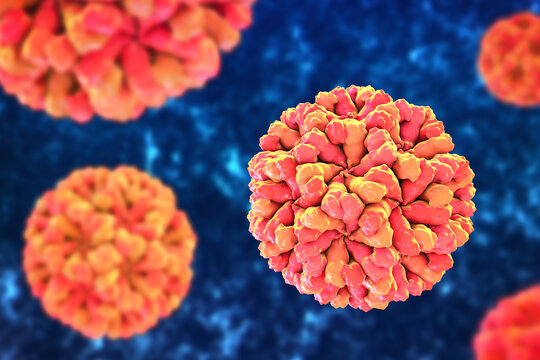 Sapovirus particle, 3D illustration showing non-enveloped icosahedral calicivirus with surface depressions and structured capsid