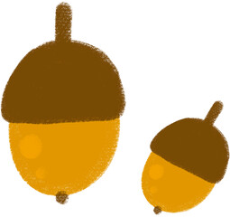 acorn © 수현 박