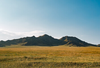 Obraz premium Vast steppe landscape with golden grassland extending to rugged mountains under a clear blue sky