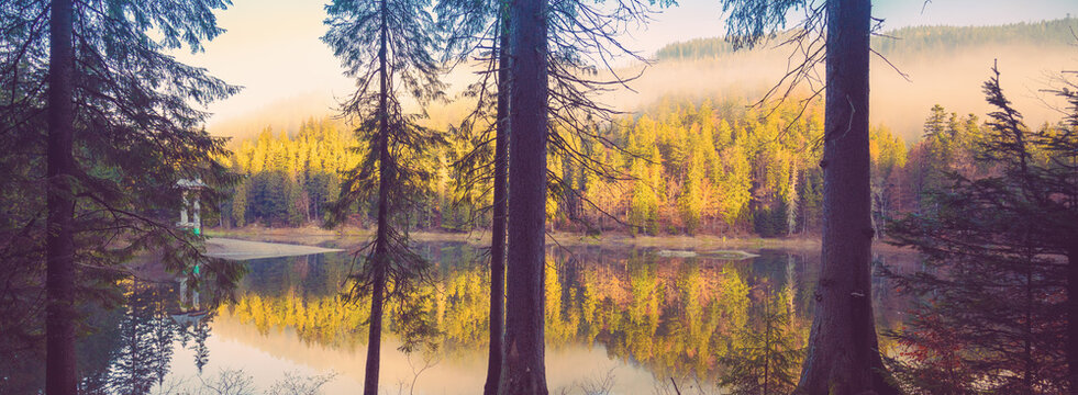 Fir trees around the lake in the misty morning in autumn. Lake Synevyr in the Carpathian Mountains of Ukraine. Synevyr Poliana National Park in Zakarpattia Oblast. Ukraine, Europe