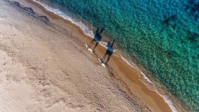 Aerial view reveals horseback riding on a sandy beach in Sardinia