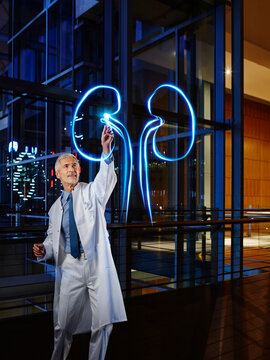 Male nephrologist light painting kidney in laboratory at hospital