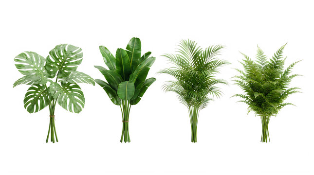 Set of four different green tropical house plants in small pots for interior home decoration