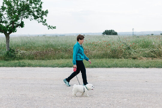 Back view of senior woman going walkies with her dog at countryside