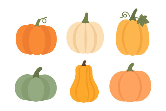 Set of six flat pumpkin icons in different shapes and colors. Minimal autumn vegetable collection isolated on white background. Modern vector illustration for harvest, Halloween and seasonal design.