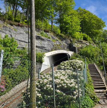 Roedhette und Blaemann sind die beiden Z&uuml;ge der Floibanen in Bergen