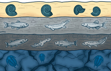 Geological Rock Layers and Fossils Stratigraphy Science Illustration. Detailed science illustration showing sedimentary rock strata and index fossils for geological dating. © KRN.I