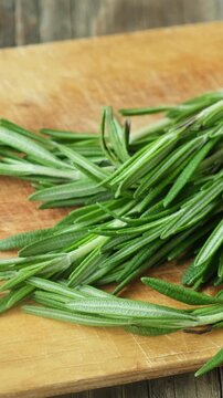 Vertical video. Fresh rosemary sprigs on a wooden board. Seasoning.