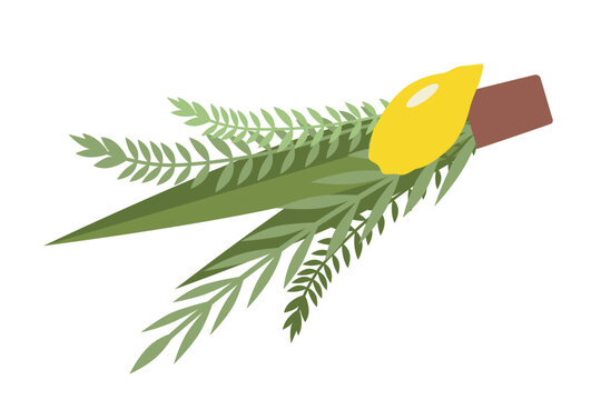 Arba Minim isolated vector illustration. Lulav, willow, myrtle, etrog. Design element for your holiday.
