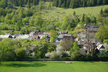 A peaceful rural village nestled among lush forests and green hills in spring, ideal for themes of countryside living, sustainable communities, travel, nature, and environmental publications. © Duro Mesiar