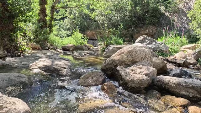 Rocky forest stream flowing over boulders in Rennes-les-Bains, France