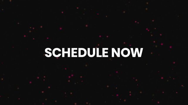 Schedule Now Neon Text Reveal Animation 4K Appointment Call to Action for Consultations Meetings Bookings and Professional Services
