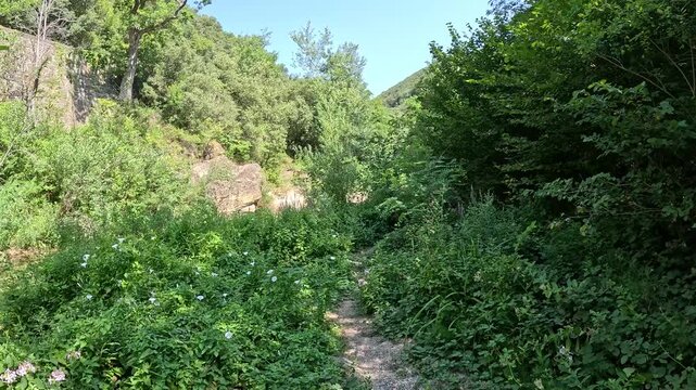 POV walking on forest hiking trail beside river, France