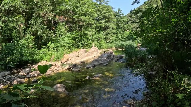 Calm river with rocky bank in green forest valley in Rennes-les-Bains France