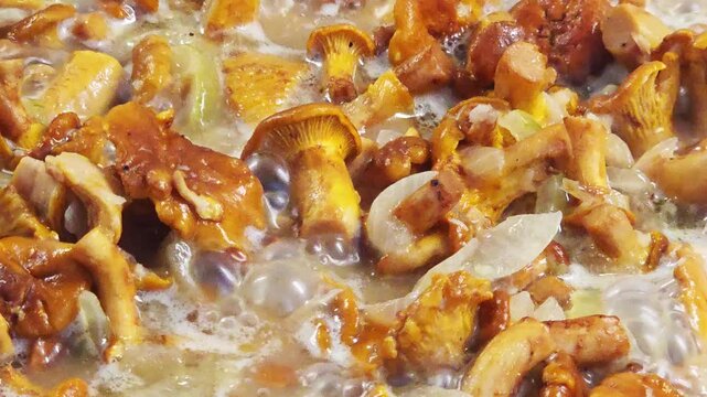 Close-up view of fresh chanterelle mushrooms and chopped onions frying and simmering in hot liquid in a pan, preparation of gourmet meal, savory cooking process