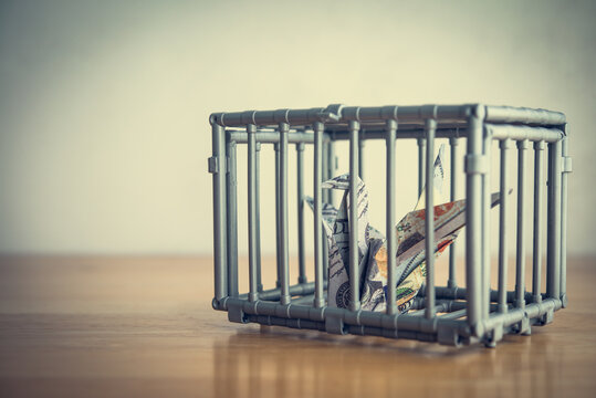 US dollar bill banknote flapping bird is kept in cage on table. Financial problem in economy crisis, bankruptcy, bad credit score, no financial freedom, debtor stress, independence and so on concept.