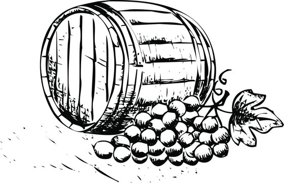 Wooden barrel with garlic bulbs and green leaves spilling out Vector, illustration