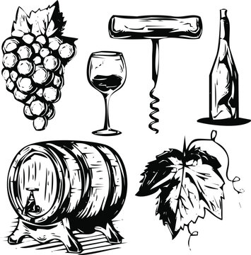 Wine elements set with grapes barrel corkscrew glass and bottle sketch Vector, illustration