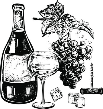Wine bottle with glass and grapes next to cork and foil on table Vector, illustration