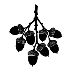 Thanksgiving and Autumn Harvest, Vintage acorn branch silhouette vector, black oak nut cluster illustration, forest botanical graphic for seasonal decor and branding isolated on White Background © MITURANI