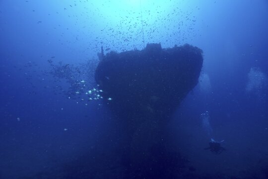 Silhouette of a deep shipwreck surrounded by small fish, in a dark blue underwater environment in the Mediterranean near Hy&egrave;res, Wreck Le Grec dive site, Giens Peninsula, Porquerolles, Provence, C&ocirc;te d'Azur, France