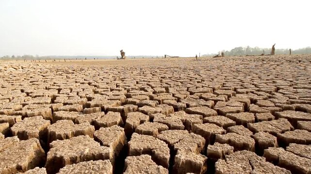 Close-up of arid, cracking earth is parched from lack of moisture