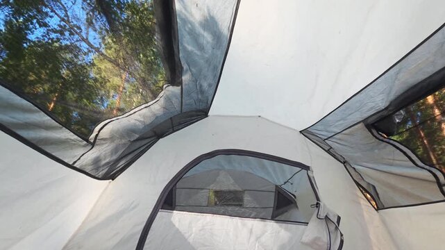 Interior view of white camping tent with black mesh windows showing tall green pine trees and clear blue sky through opening, peaceful outdoor scene perspective from inside shelter, natural light