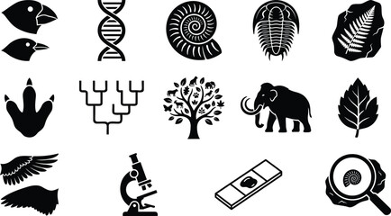Evolution science solid icon set, fossils, DNA, prehistoric animals, paleontology, biology, editable vector © Graphics Depot 30