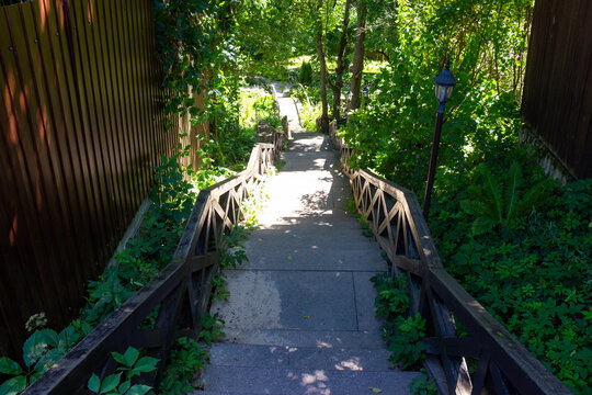 Steep stone staircase descending into a lush green garden, framed by rustic wooden railings and filtered summer sunlight creating peaceful shadows along a charming backyard walkway path