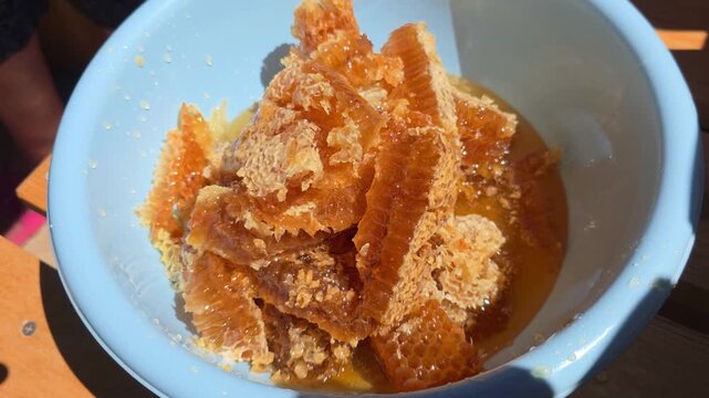 Natural raw honeycomb pieces and golden viscous honey in a light blue plastic bowl catching bright sunlight, close-up view capturing intricate hexagonal cells and sticky sweet texture rich amber color