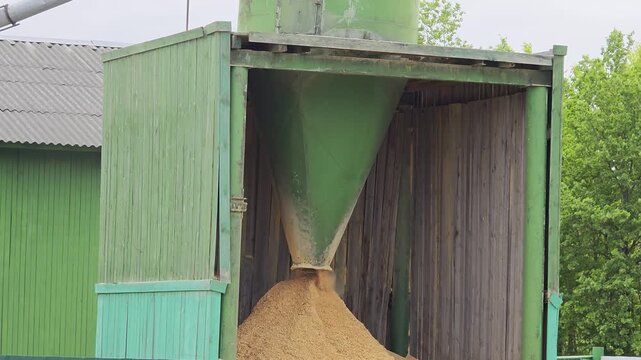 Sawdust flowing from green bin into large pile at sawmill outdoors under cloudy sky, industrial process of wood waste disposal and processing, timber production by-product collection