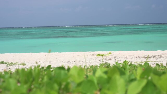 青空と白い雲の下に広がる透き通ったエメラルドグリーンの海