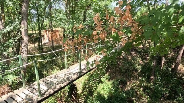 Suspension footbridge over dry riverbed with dead leaves, France
