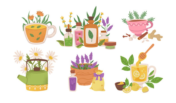 Herbal medicine cartoon collection with plant oils and naturopathy elements. Vibrant vector set with ginger root, chamomile flower, mint leaves and essential bottles for wellness therapy.
