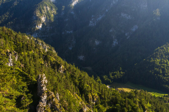 Aerial view of a deep mountain canyon and forested valley with rock cliffs in the Austrian Alps near Salza river