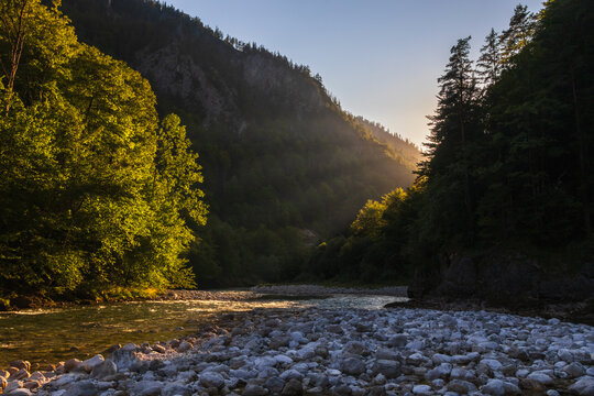 Beautiful Salza mountain river flowing through a forested valley with sunbeams at sunrise in the Austrian Alps