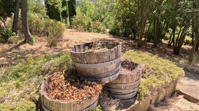 Sun-scorched flower bed showing heatwave damage, France