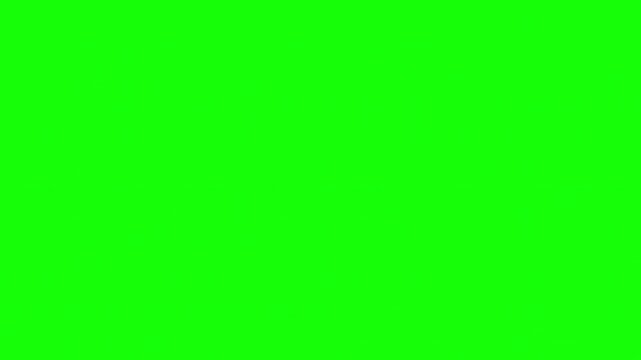 Retro CCTV Security Camera Viewfinder Green Screen Overlay