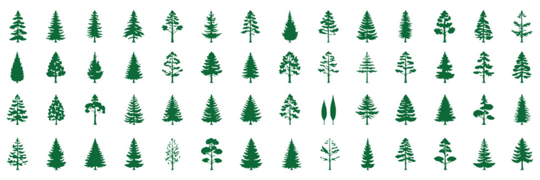Forest trees set. Isolated vector silhouette. Coniferous forest. Christmas tree, fir-tree, pine, pine-tree, Scotch fir, cedar. A minimalist vector graphic illustration of a mountain landscape .