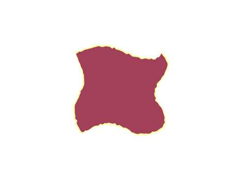 A single piece of dark maroon paper with a delicate and ragged torn edge
