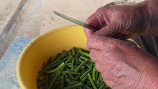 Close up view of hands of person preparing fresh green garlic scapes, cutting them into pieces with knife, dropping them into bright yellow bowl, food preparation activity, healthy ingredient