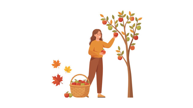 Young woman picking fresh apples from a tree into a basket during autumn harvest season illustration